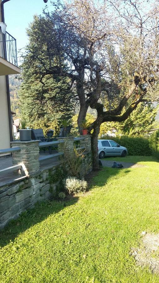 Apartmenthaus-mistel Apartment